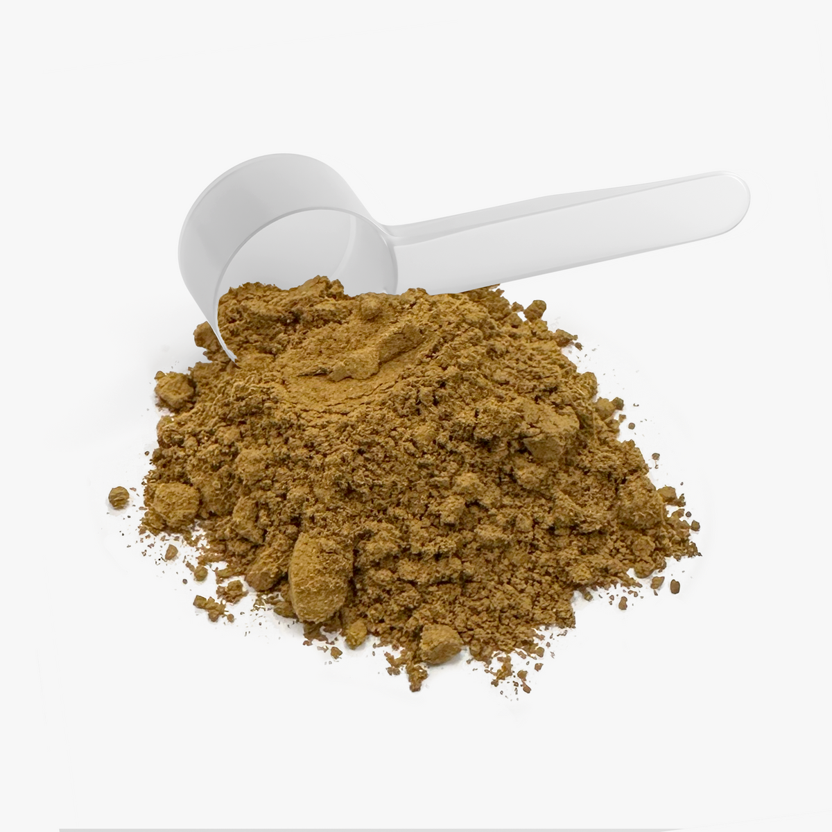 Instant mushroom coffee powder with a white measuring scoop