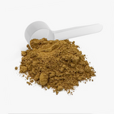 Instant mushroom coffee powder with a white measuring scoop - image 2