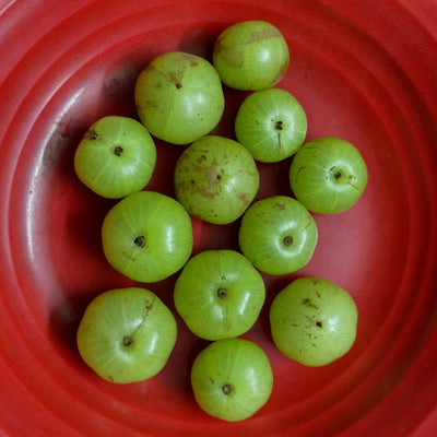 Amla