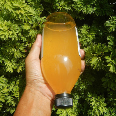 Apple Cider Vinegar