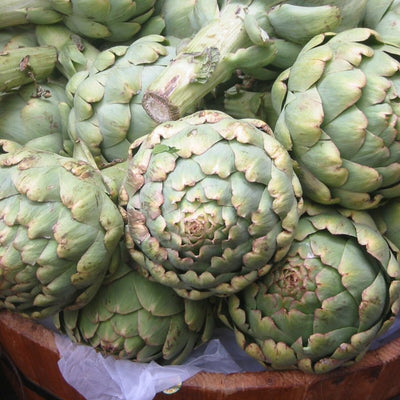 Artichoke