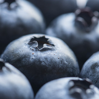Bilberry