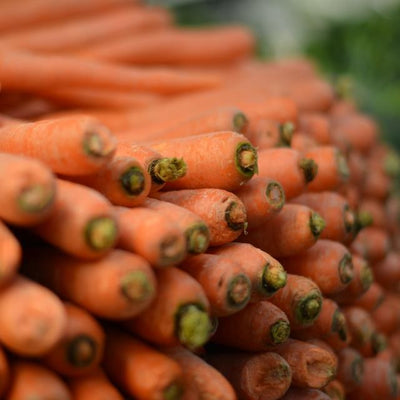 Carrot