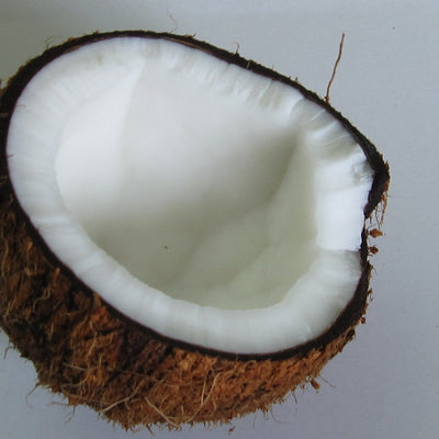 Coconut