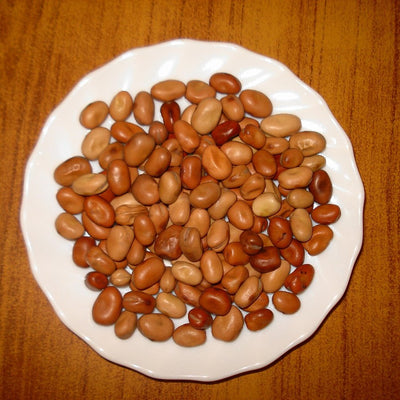 Fava Bean Protein
