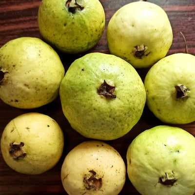 Guava