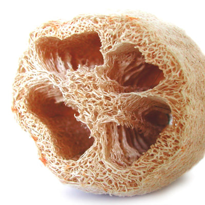 Luffa
