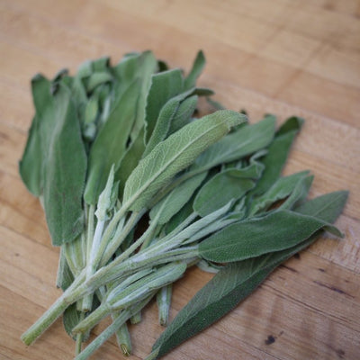 Sage