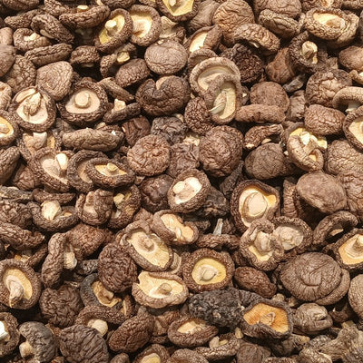 Shiitake