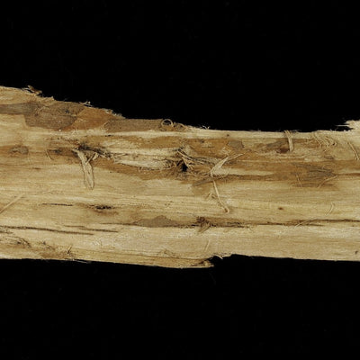 Slippery Elm