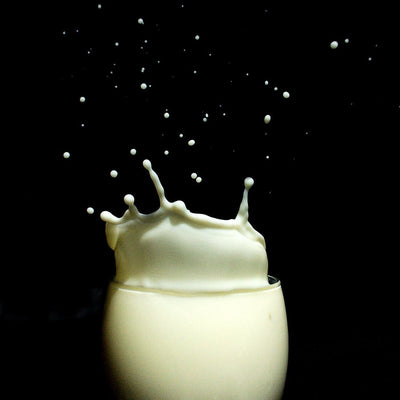 Whey Protein