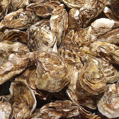 Zinc
